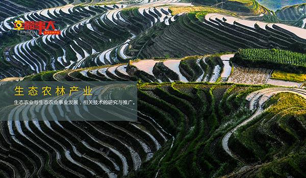 生态农林产业